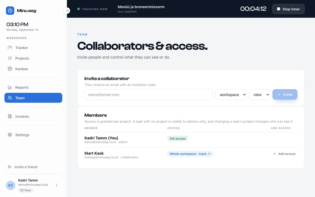 The Team view: a form to invite a collaborator by email with a scope and access level, and a member list showing the owner with full access and a collaborator with tracking access to the whole workspace.